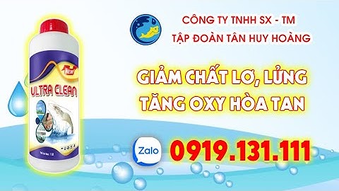 [Nuôi tôm công nghệ cao] Quá trình cắt tảo xanh loại cặn lơ lửng tại nhiều ao nuôi tôm | Dr Huy Tôm