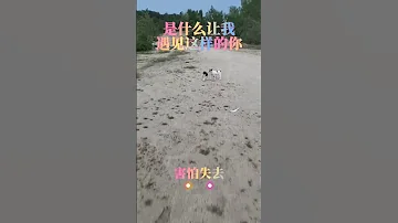 是什么让我遇见这样的你 热门音乐 经典歌曲 