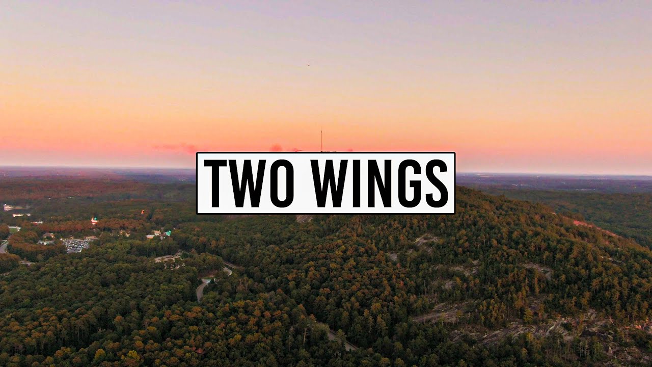 "ＴＷＯ  ＷＩＮＧＳ" - Ufo361 x Data Luv Type Beat 2021 | Dark Hard Bouncy Instrumental/Beats 2021/2022🕷️