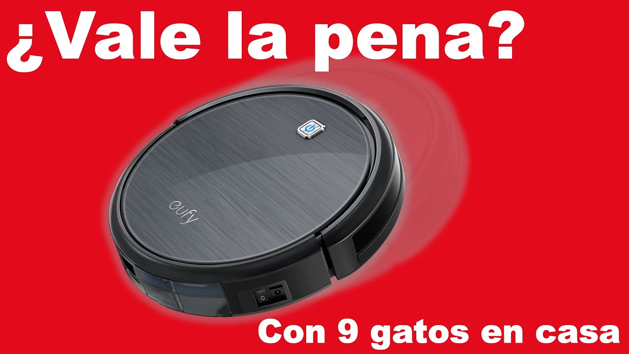 Vale la pena un ROBOT ASPIRADOR? Opinión SINCERA y experiencia EXTREMA con  9 gatos en casa - YouTube