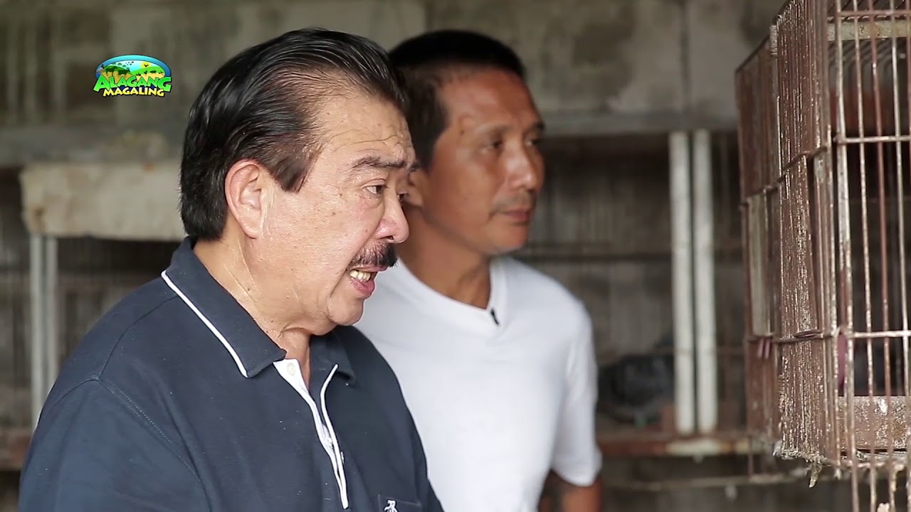 LOFT VISITS BY THE MASTER BREEDER