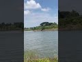 Quiet moments by the river #peace #shortsfeed #shortsyoutube #shorts #shortsviral #viral #ytshorts