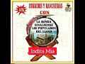 Banda Los Populares Del Llano "Las cinco borregas" (album completo)