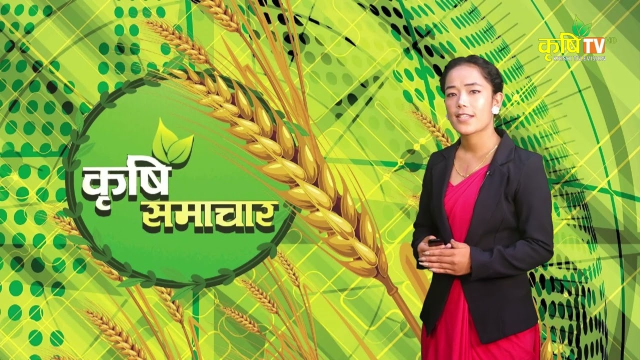 आजका देशभरका कृषि समाचार || Krishi Television HD