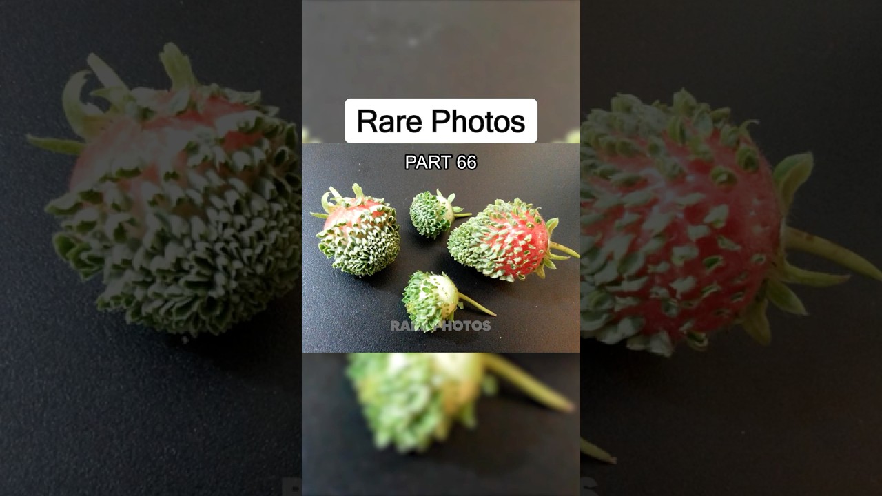 Редкие фотографии, которые ВЗОРВУТ вам мозг!!