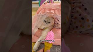 Never Listening To My Doctor Again