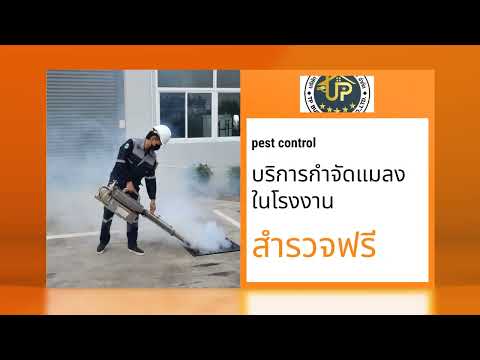 บริการกำจัดปลวกกำจัดมด  หนู แมลงสาบ เห็บ มัด แมลงรบกวนทุกชนิด
