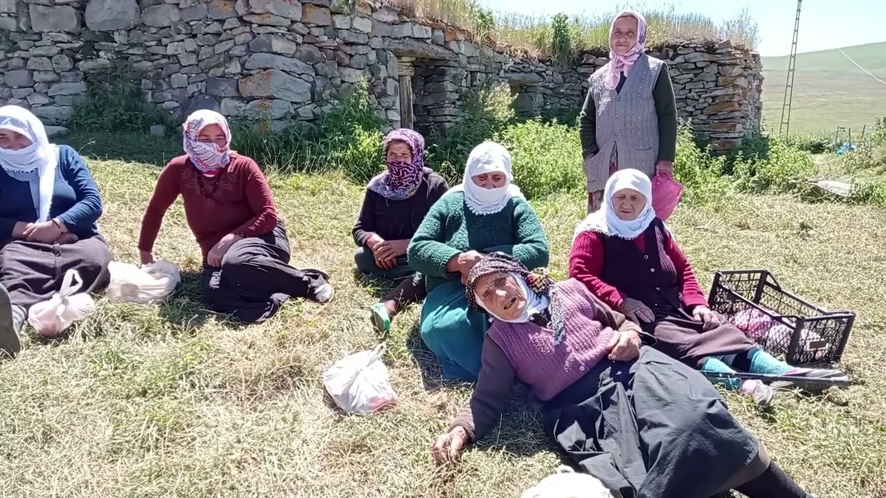 ARDAHAN POSOF İLÇESİ AŞIKZÜLALİ KÖYÜ - Yaylasındaki Nenelerin Tatlı Sohbeti ve Türküsü