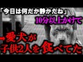 父不在の中家事をしていた妻。やけに子供が静かな為様子を見ると、そこには目を背けたくなる光景が…