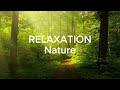Relaxing Nature Sounds for Deep Sleep