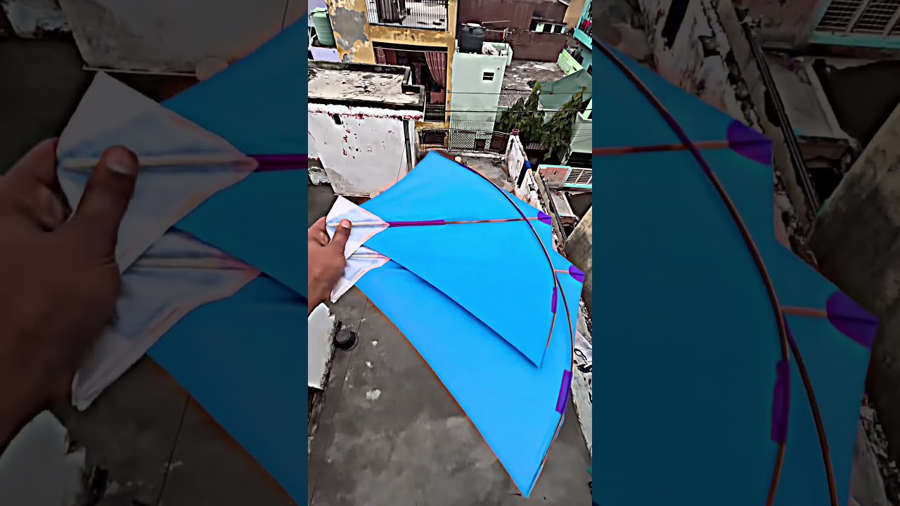 Kite viral video 