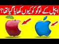 Why The Apple Logo Is Eeaten | Reality Facts