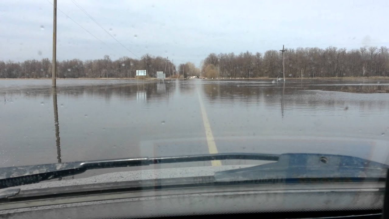 Гидропост горбатов на оке