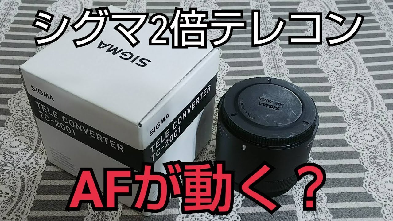 シグマの２倍テレコンでＡＦが動く！ SIGMA TELE CONVERTER TC-2001 キヤノン用