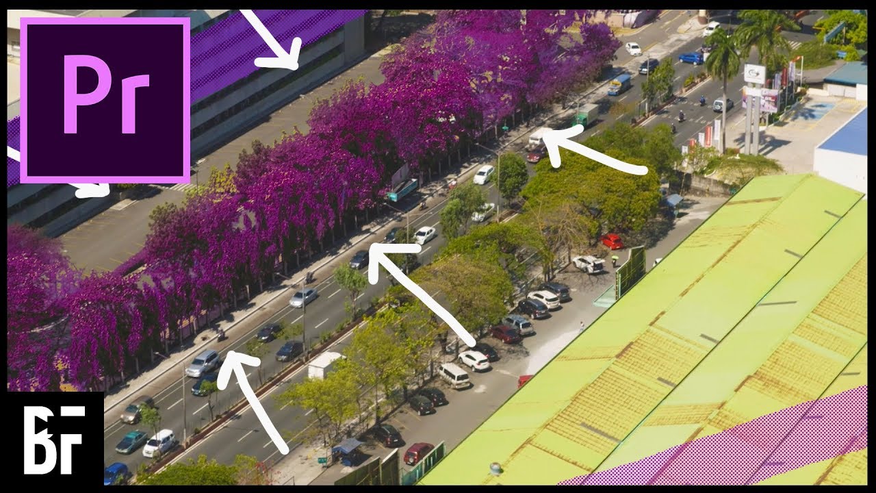 Change the Colour of the Trees - Premiere Pro