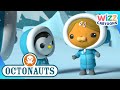 @Octonauts - The Deep Freeze | Compilation | Wizz Cartoons