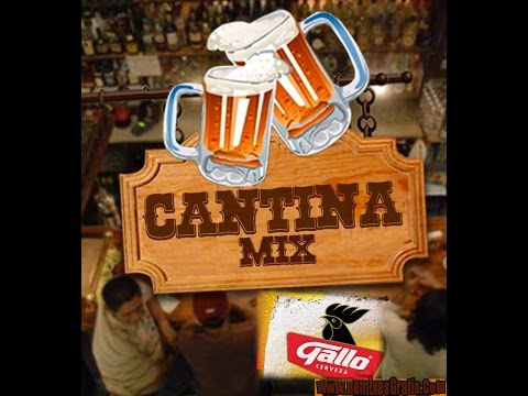 Cantina Mix 2017 - Vicente Fernandez Variado