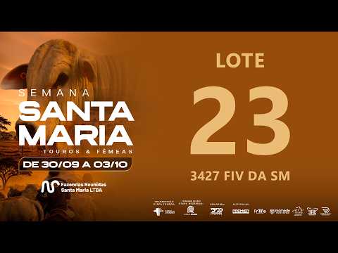 LOTE 23 FSM A3427