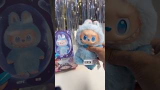 I Was Hopeing For A Real Labubuit Is Real Right?