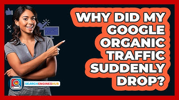 Why Did My Google Organic Traffic Suddenly Drop? - SearchEnginesHub.com