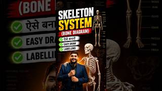 Skeleton System Bone Diagram step by step🔴RPMC Online Classes🔴#paramedical #rpmc #bonediagram