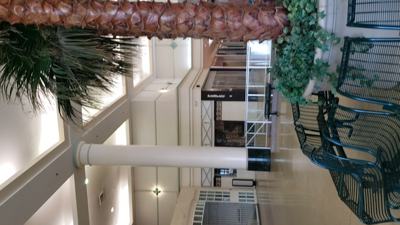 Eastland center Mall Harper Woods Michigan November 2021