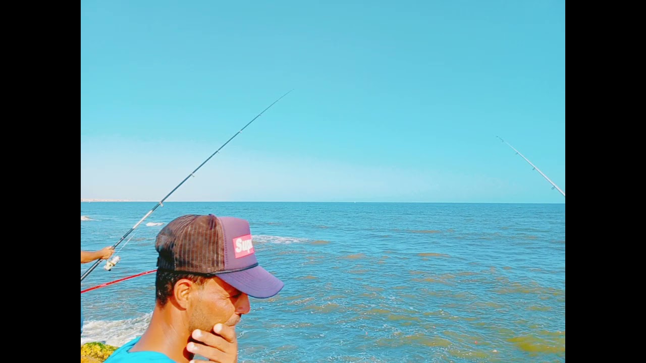 لسان مدينه جمصه