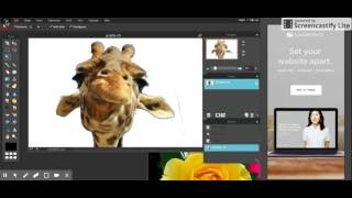 Pixlr Selection Tools