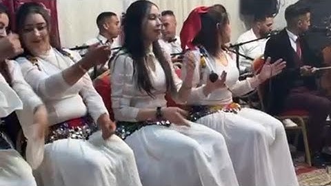 نايضة شطيح ورديح فعرس ولد مي ايطو