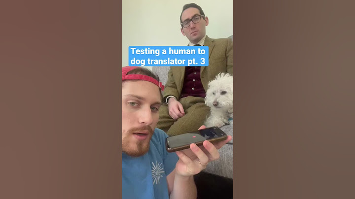 Human to Dog Translator (pt. 3) #Shorts