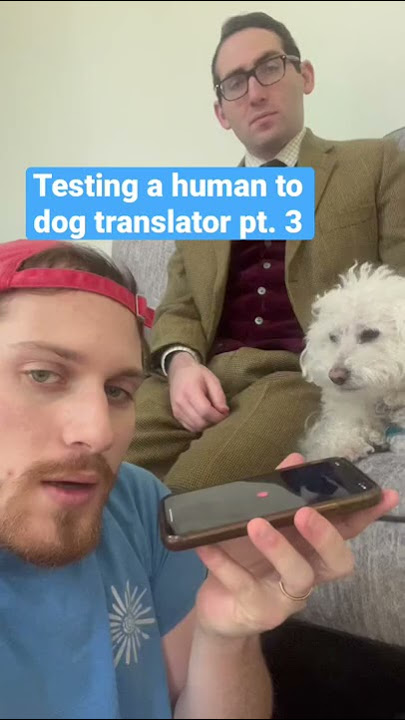 Human to Dog Translator (pt. 3) #Shorts