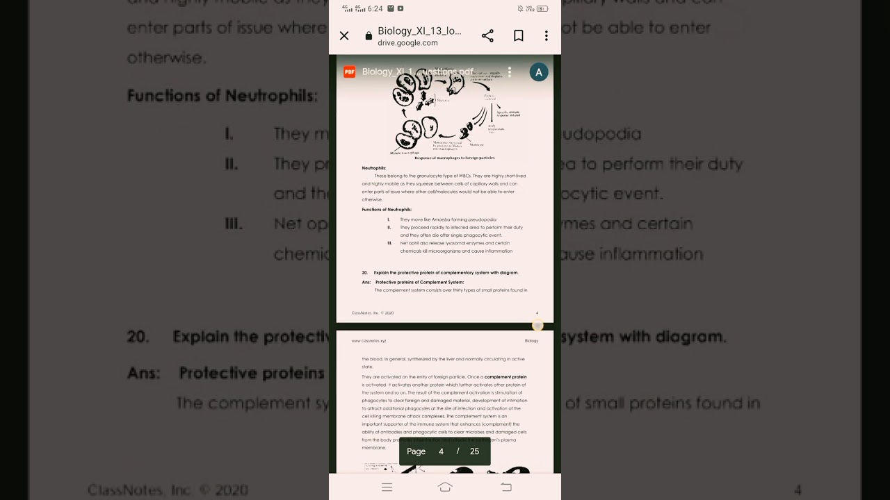 1st year Biology Chapter 13 Immunity Notes,Mcqs,Shorts and Long Questions