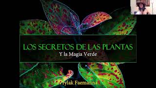 Los secretos de las plantas y la Magia Verde - Vrylak Faemanna screenshot 2