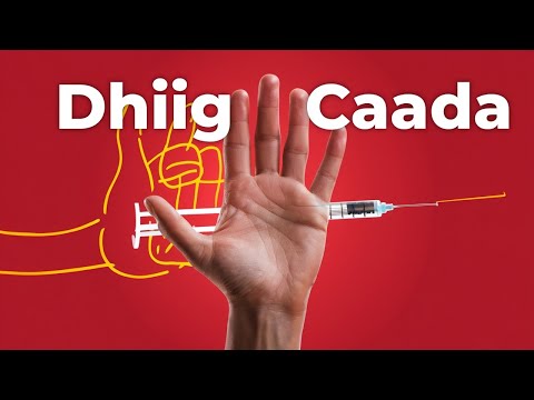 Sidee Loo Yareeyaa Daalka Walbahaarka Caadada Dr Isim Taladiisa