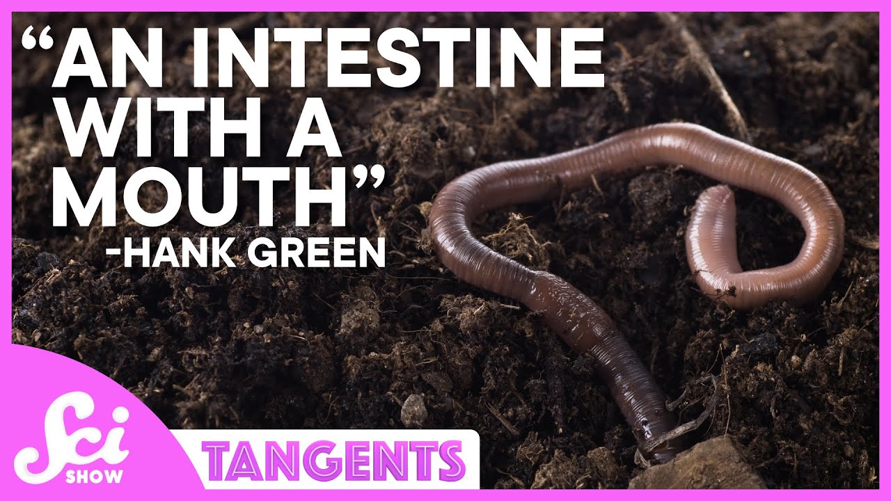 Worms | SciShow Tangents Podcast