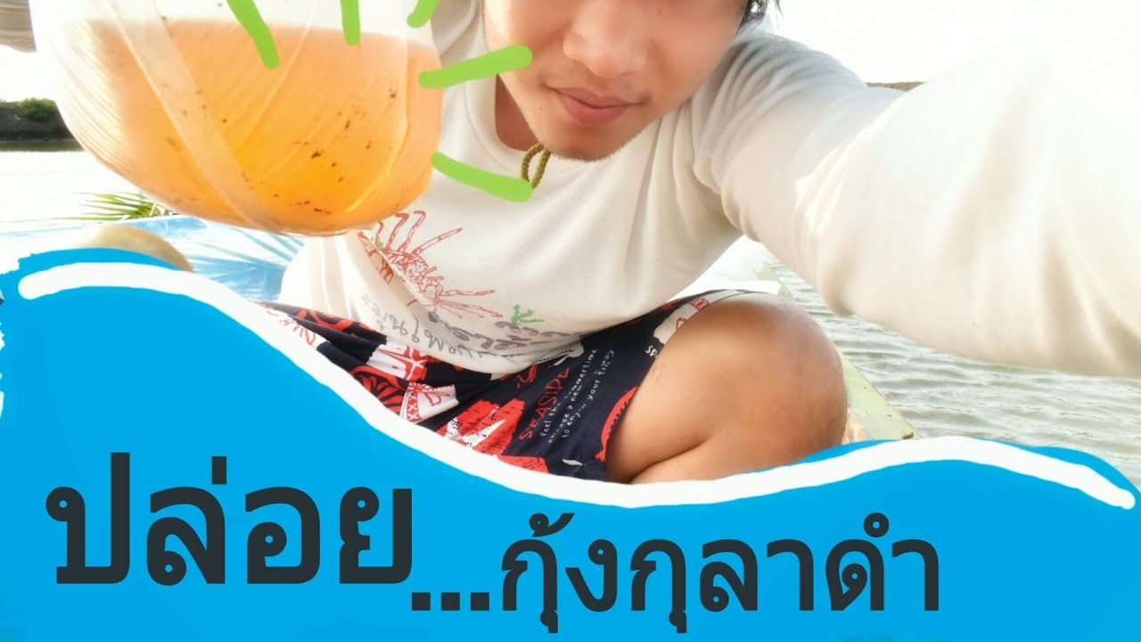 ปล่อยกุ้งกุลาดำ ในวังกุ้งงงงง #การเลี้ยงแบบธรรมชาติ)