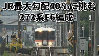 【JR最大勾配40‰に挑む 373系F6編成】