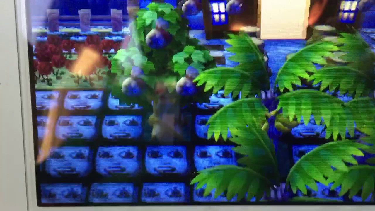 改造成功！自分の改造村紹介(^^)