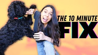 You Only Need 10 Minutes to Train Your Dog! 🤯 by Rachel Fusaro 11,031 views 8 months ago 14 minutes, 35 seconds