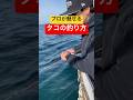 世界のプロが魅せるタコの釣り方 #shorts #short