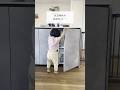 【子どものケガ防止】おすすめベビーガード👶#子育て#育児#0歳 #1歳 #2歳 #ライフハック #おすすめ