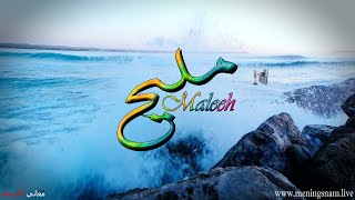 معنى اسم #مليح وصفات حامل هذا الاسم #Maleeh