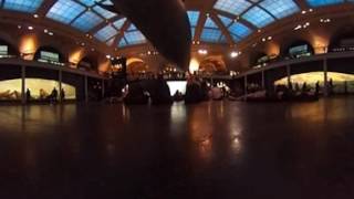 A 360 Video On The Floor Of The Amnh Hall Of Ocean Life
