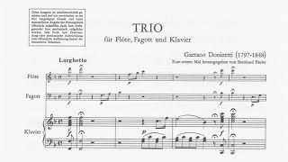 Gaetano Donizetti: Trio for Flute, Bassoon, and Piano, A. 507 (18XX)