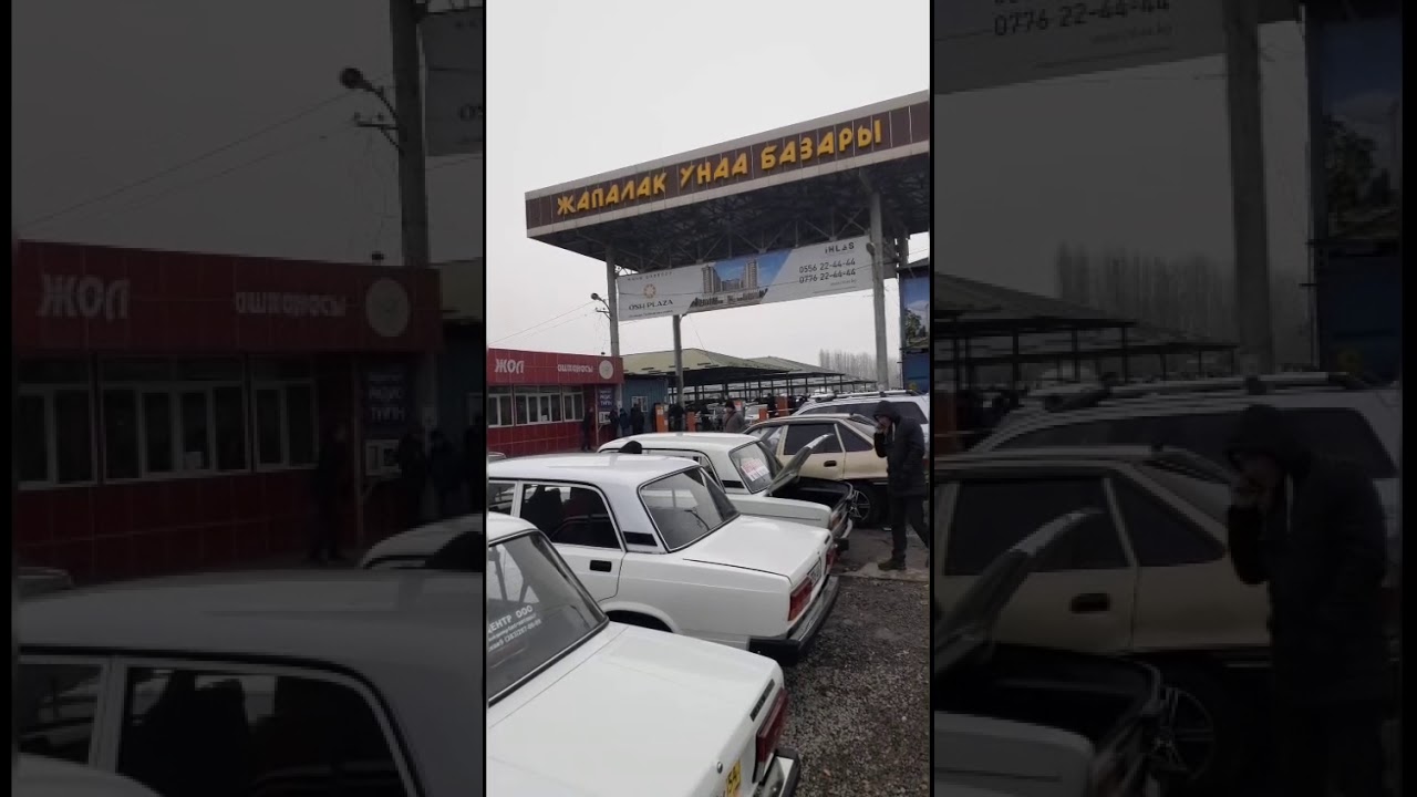 Бус авто орша