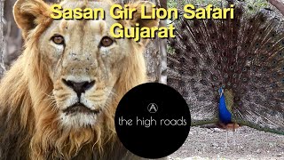 Sasan Gir National Park | Gir lion | Gir Safari | The Western Routes | The High Roads