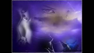 crowded house distant sun lyrics