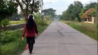 Suasana sore di persawahan 