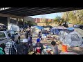 Homeless Village 2024 Under the Bridge. SO MANY SAVED NOW!