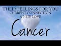 CANCER love tarot ♋️ This Person Wants Only You Cancer 🥰